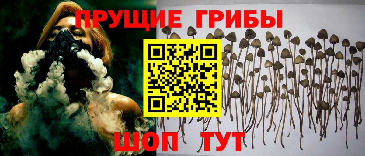 Луга  Галлюциногенные грибы Magic Shrooms  Вход с VPN 